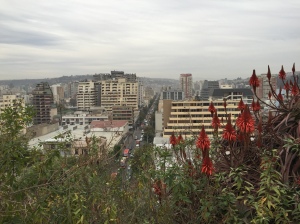 The view of Viña from the hill.